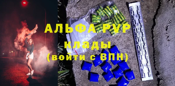 сатива Абаза