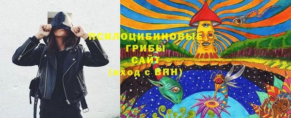ГАЛЛЮЦИНОГЕННЫЕ ГРИБЫ Абинск