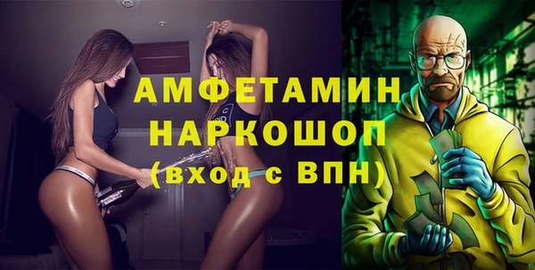 амф Ельня