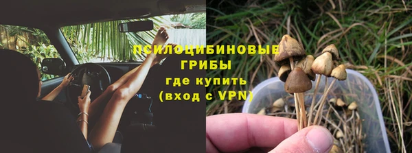 ГАЛЛЮЦИНОГЕННЫЕ ГРИБЫ Абинск